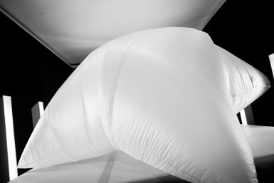 © David Beecroft 2020.03.14-15_chute_et_envol_david_beecroft4.jpg