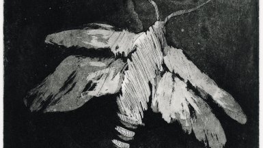 © Albertine Mermet Aquarelles_et_gravures_1290_1080_galerie2.jpg